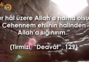 Peygamberimizin Dilinden Dualar - 9.Gün