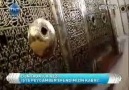 Peygamberimizin kabri görüntülendi !