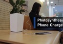 Photosynthesis Phone Charger