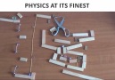 Physics at its finestViral Tacos