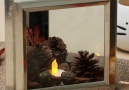 Picture Frame Terrarium