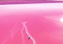 PINK LAKE OMG! Australia