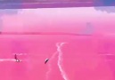 PINK LAKE OMG!Australia