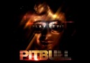 Pitbull Featuring T-Pain & Sean Paul - Shake Senora (Audio)