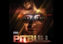 Pitbull T-Pain , Sean Paul , Lucadris -Shake Senora  (New Klip)
