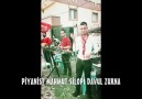 Piyanist Mahmut Silopi Davul Zurna Hılavetin  Foto Veli Erdem & PRODÜKSİYON