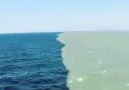 Place Where Two Oceans MEET But Do Not MIX Gulf of Alaska