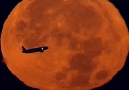 Plane Flies Right in Front of Supermoon
