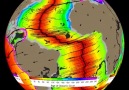 plate tectonics D