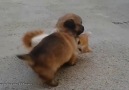 Play Time