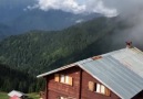 Pokut yaylasında... -Rize