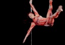 Pole fitness is an amazing workout for the whole body!