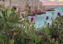 Polignano Italia Idressitalian