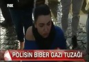 Polis "Gel burası güvenli" diyor sonra kafaya biber gazı sıkıyor!