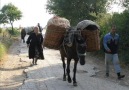 Pomaci Torbesi Gorani eden soj.. - Balkan Trakya Rumeli