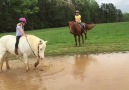Pony Goes For An Unexpected Dip
