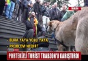 PORTEKİZLİ TURİST TRABZONU KARIŞTIRDI