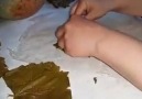Poşetle sarma tekniği -Yaprak sarmasında Yeni teknik