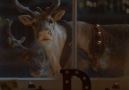 Possibly the BEST Christmas advert yet