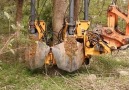 Potret Senja&- Easy Remove the Tree by Machine