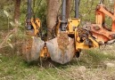 Potret Senja&- Easy Remove the Tree by Machine