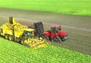 Power Harvesting - ROPA euro-Tiger XL & Quadtrack & Yaggie's Cart