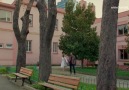 Poyraz Karayel Kanal D - Aşk bağımlısı Poyraz! Facebook