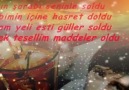 poyraz_styla_mezarında_güller_açsın_2012.