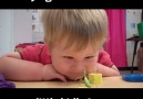 Praying Mantis Attacks Little Kid's Face