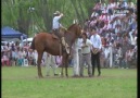 1PREMIO LAS FLORES 2012