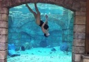 Professional Underwater Performer "Mermaid Melissa"