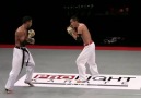 Pro Fight Karate AGE:2011