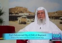Prof. Muhammed Ebu el-Beyanuni, Hizmet'i ve Hocaefendi'yi anla...