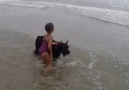 Protective dog wont let little girl go deep in the sea