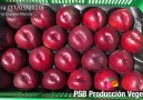 PSB Produccin Vegetal - Altamira 11052020 (Sierra Espua-Murcia) Facebook