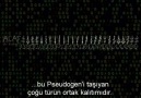 Pseudogen Nedir ? (Evrimsel açıdan önemi)