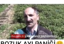 Psikolojisi bozulmuş ayı ))))))))