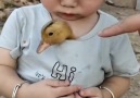 PTP - The Special Connection Between Kids And Animals Facebook