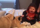 Pug Puts Baby in a Fit of Giggles