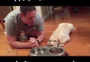Pup Prays With Owner Before Dinner