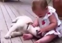 Puppy Cannot Contain His Excitement At Seeing Baby!