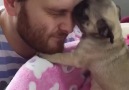 Puppy loves owner