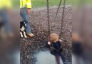 Puppy Pushes Toddler On Swing