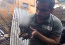 Puppy Rescued From Hut That Collapsed In The Rain