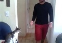 Quando o gato parceiro haha