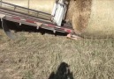 Quick way to haul round bales!!