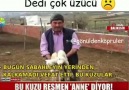 &quotAnne anne" diye meleyen kuzu - Dualarımla Sevdim