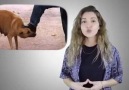 " İNSANOĞLU ".. - izlyndn sonra bigan yanaşmayaq.