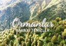 &quotOrmanlar..&quotToprağınSuyunSağlığınTemiz Havanın Kaynağıdır!