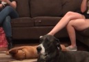 &quotPLEASE be quiet now"